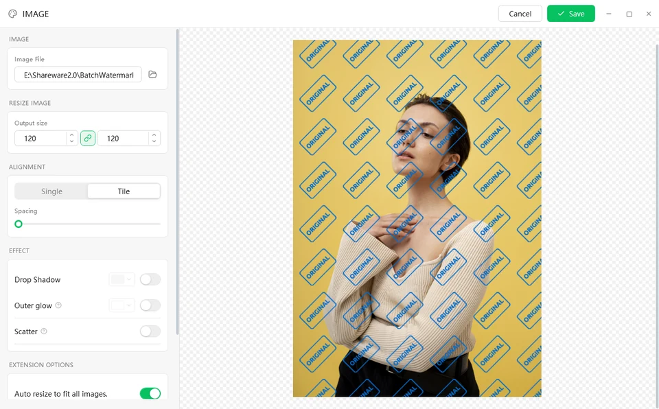 Image watermark editor with a transparent PNG logo tiled across the whole photo