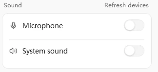 Sound section with Microphone and System sound switches