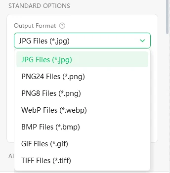 Output Format dropdown listing JPG, PNG24, PNG8, WebP, BMP, GIF and TIFF files