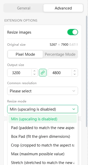 Resize images panel on the Advanced tab with Pixel Mode and Percentage Mode, and the list of six resize modes