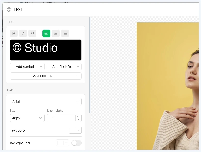 Text watermark editor