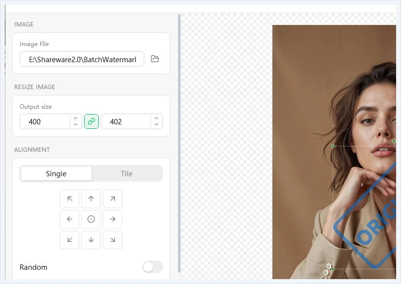 Image watermark editor