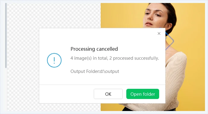 Processing cancelled